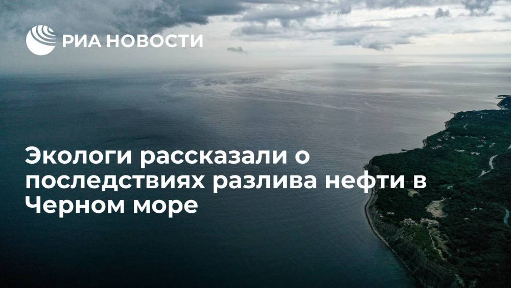Сотрудник РАН Сапожников: животные в Черном море могут пострадают от разлива нефтепродуктов