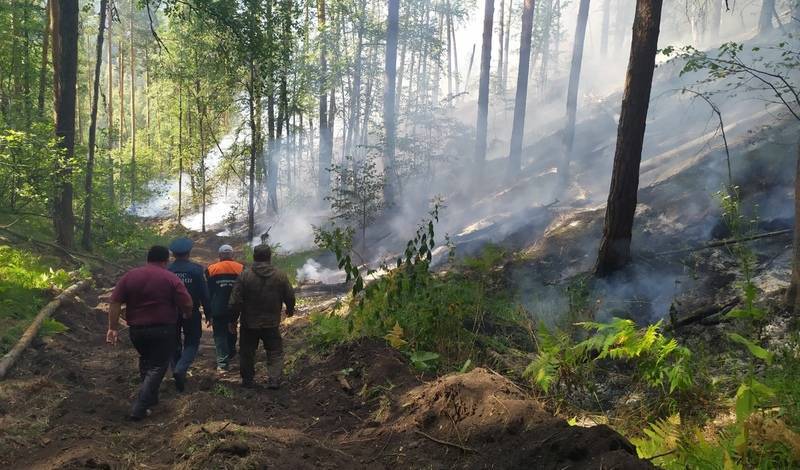 Площадь лесных пожаров в Башкирии уменьшилась еще на 1,2 тысячи гектаров
