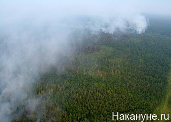 Лесной пожар подошел к Якутску