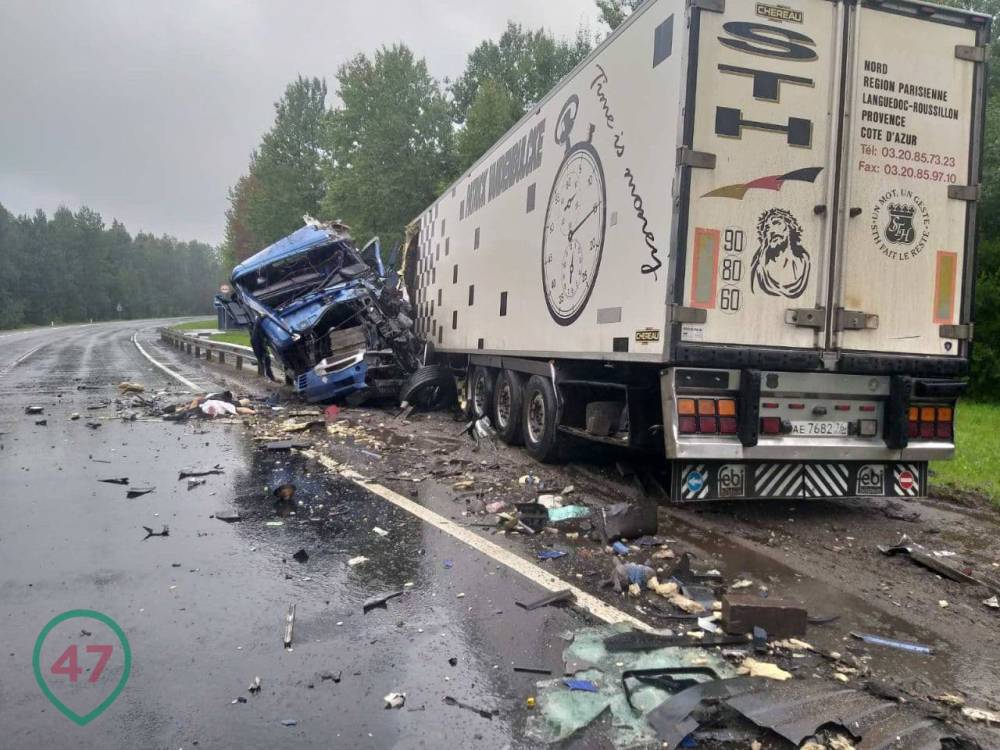 Фото: под Волховом водители двух грузовиков погибли в лобовом столкновении