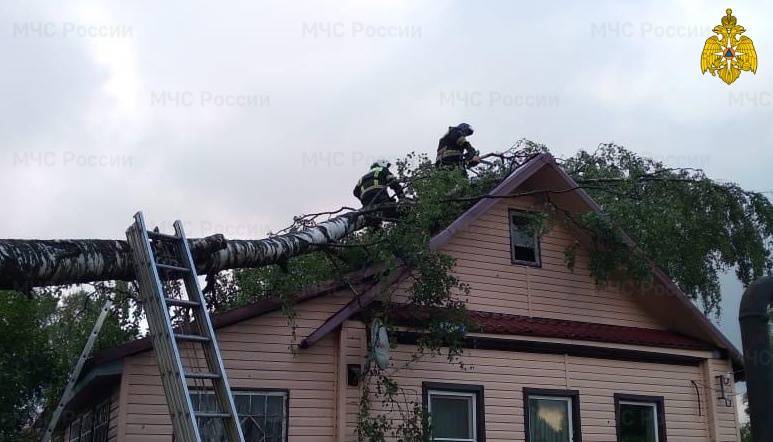 В Тверской области деревья упали на дом и двор