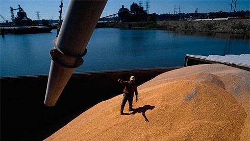 Минсельхоз США повысил прогноз экспорта пшеницы из Украины в 2021/22 МГ на 2,5 млн тонн