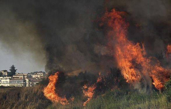 Лесные пожары продолжают выжигать юг Италии: 4 человека погибли