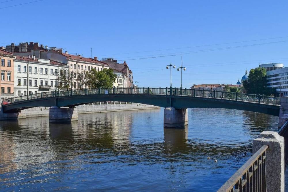 Юная петербурженка ударилась головой о мост во время водной прогулки по Фонтанке