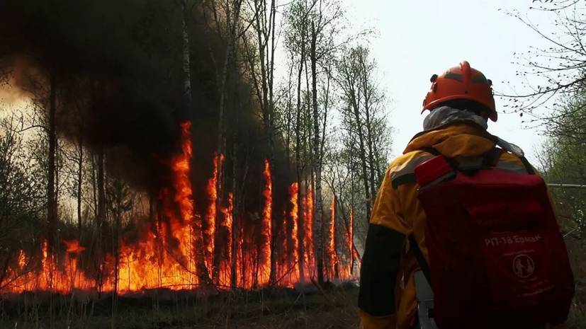 Глава Якутии рассказал о ситуации с тушением пожаров в регионе