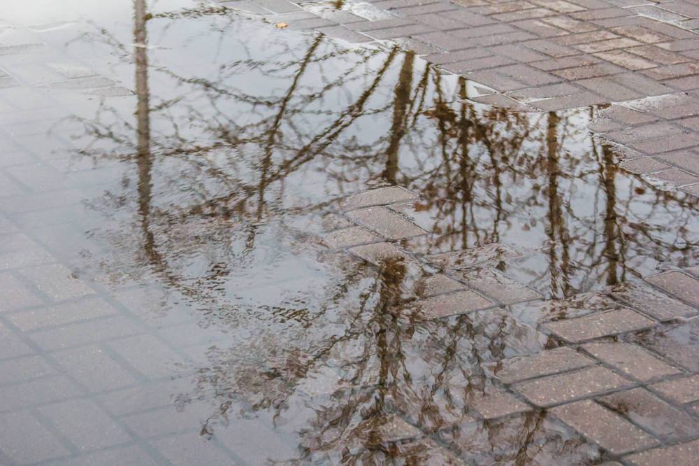 Кемеровские синоптики предупредили о похолодании до +6ºС и дождях с грозами