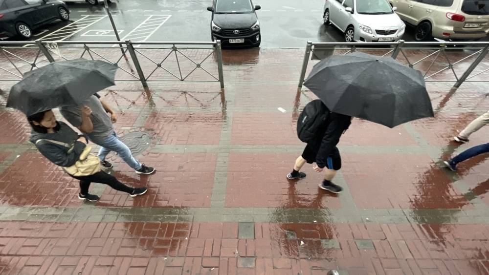 Жителей Ленобласти предупредили о пасмурной и дождливой погоде в ближайшие дни