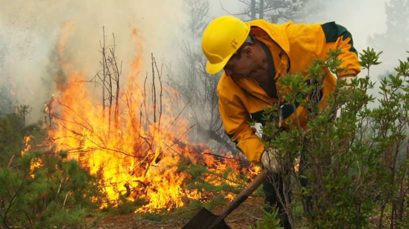 Глава Якутии рассказал о лесных пожарах в республике
