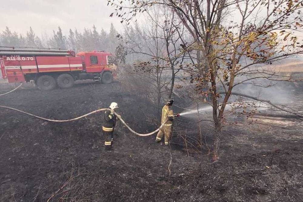 Под Волгоградом полностью потушили природный пожар на площади 330 га
