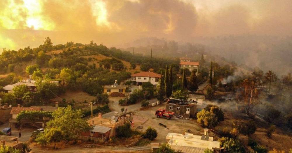 Не только Турция, Греция и РФ: где бушевали лесные пожары с начала 2021 года (фото, видео)