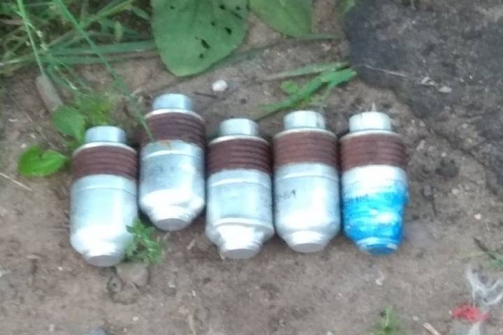 В Архангельске возле деревянного дома были найдены гранаты