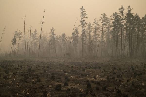 В Якутии огнём охвачено более семи миллионов гектаров