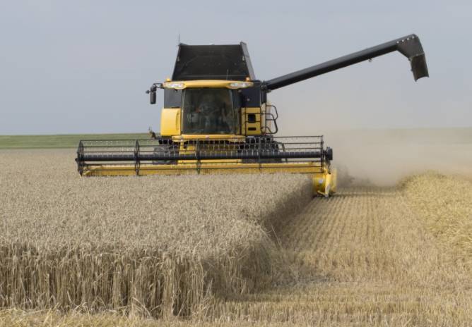 Ибрагим Рамазанов: Минсельхоз США распространяет дезинформацию об урожае зерна в РФ