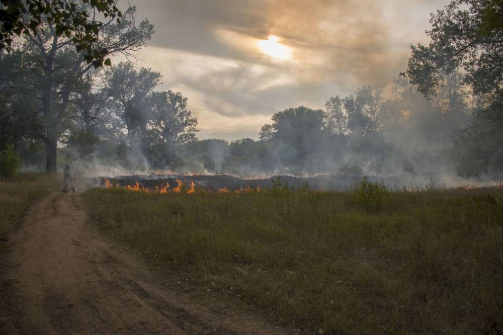 В Башкирии сократилось количество очагов природных пожаров