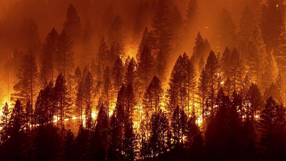 Калифорния: лесной пожар "Дикси" уничтожил более тысячи домов
