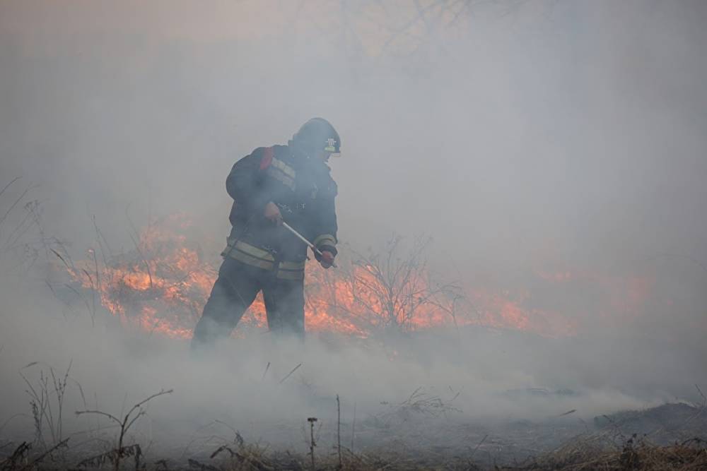 В Челябинской области из-за лесного пожара эвакуирован детский лагерь