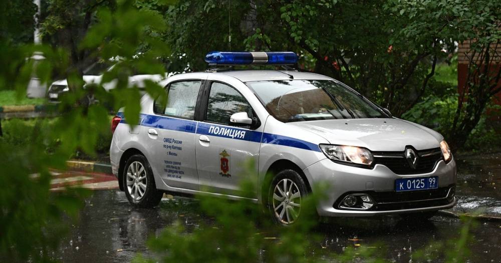 В Москве задержали 12 мигрантов за спаринг-поединки в центре города