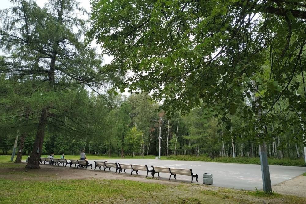 Жители Выборгского района обсудили с чиновниками предстоящее благоустройство Удельного парка