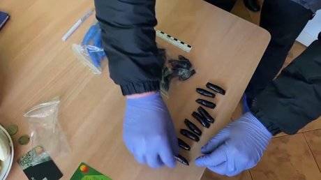 Пензенская полиция закрыла бизнес оптовых наркозакладчиков