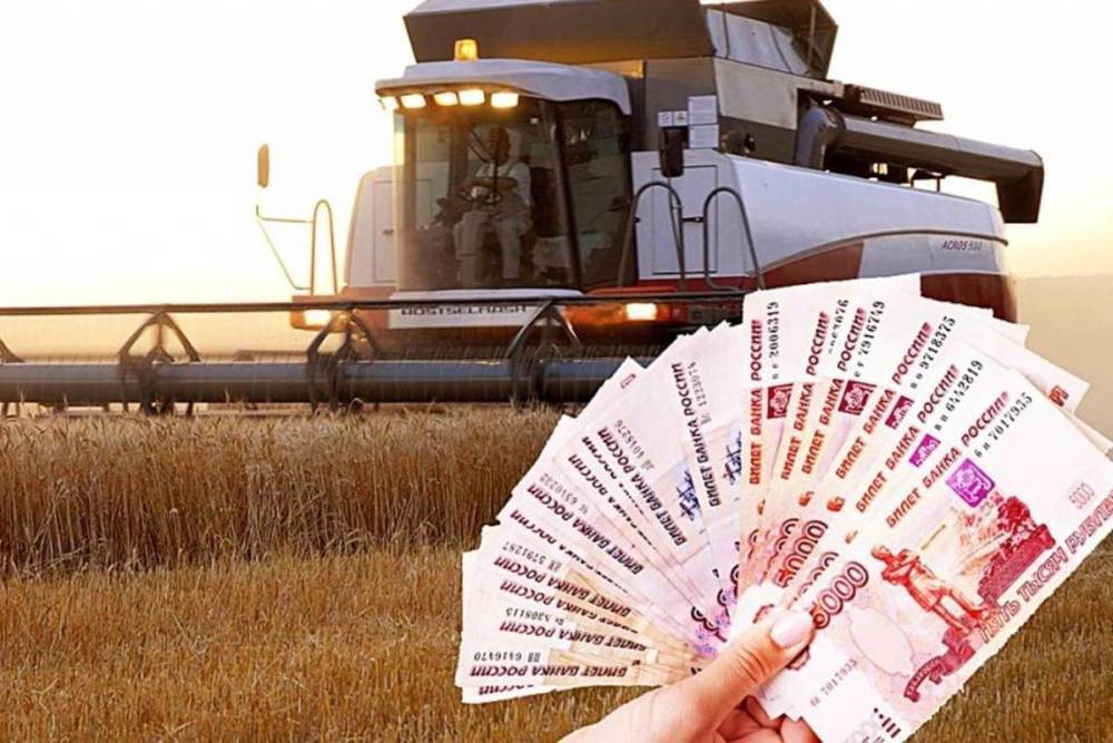 Костромские сельхозновости: два предприятия получат гранты на развитие