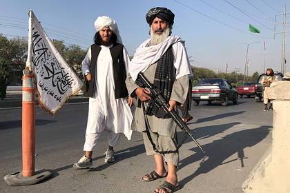 Талибы рассказали о составе нового правительства Афганистана