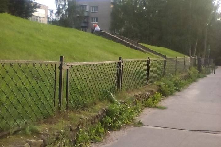 В Ярославле подрядчик реконструировавший парк пропал вместе со снесенным забором