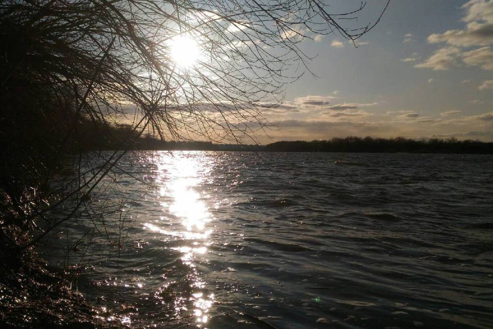 В реке Плетенка в черте Рязани утонул 66-летний мужчина