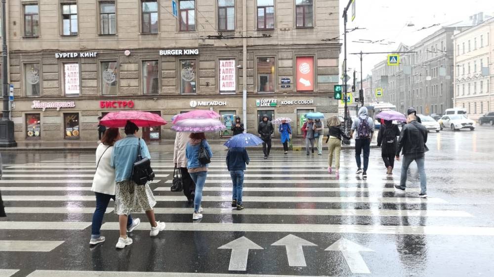 Циклон принесет в Петербург облачную и дождливую погоду в начале рабочей недели