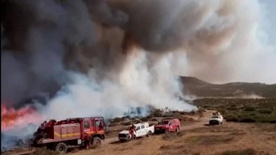 В ряде стран леса оказались во власти огненной стихии