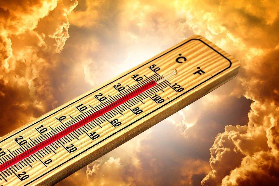 Июль стал самым жарким месяцем за всю историю наблюдений