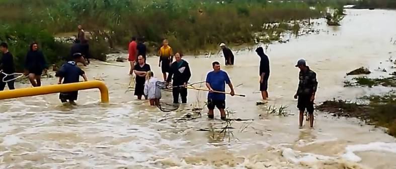 На Кубани до 25 тонн рыбы «уплыло» в поле из-за разлива пруда