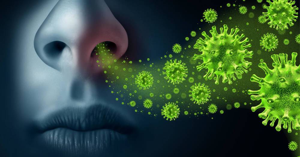 Реальные монстры: почему микробы и вирусы - главная опасность на Земле