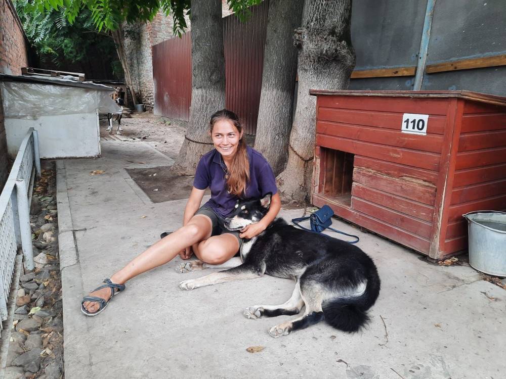 Бездомного пса из Ростова забрали жить в любящую семью в Германию