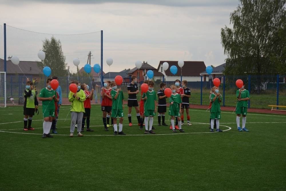 В деревне Псковского района открылся пришкольный стадион