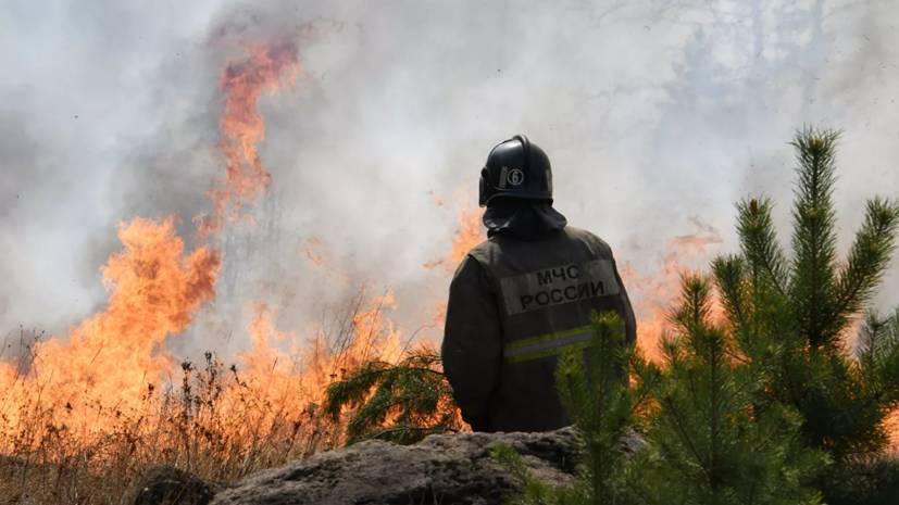 Глава Якутии поручил разработать новую программу действий защиты лесов от пожаров