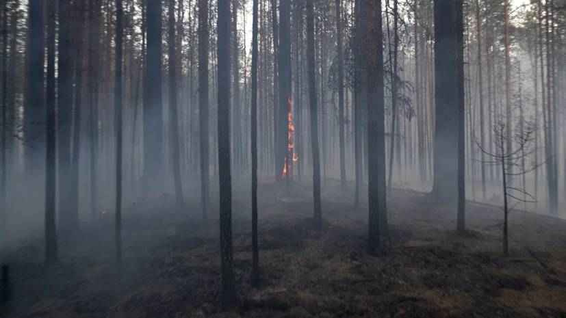 В Башкирии прокомментировали ситуацию с природными пожарами