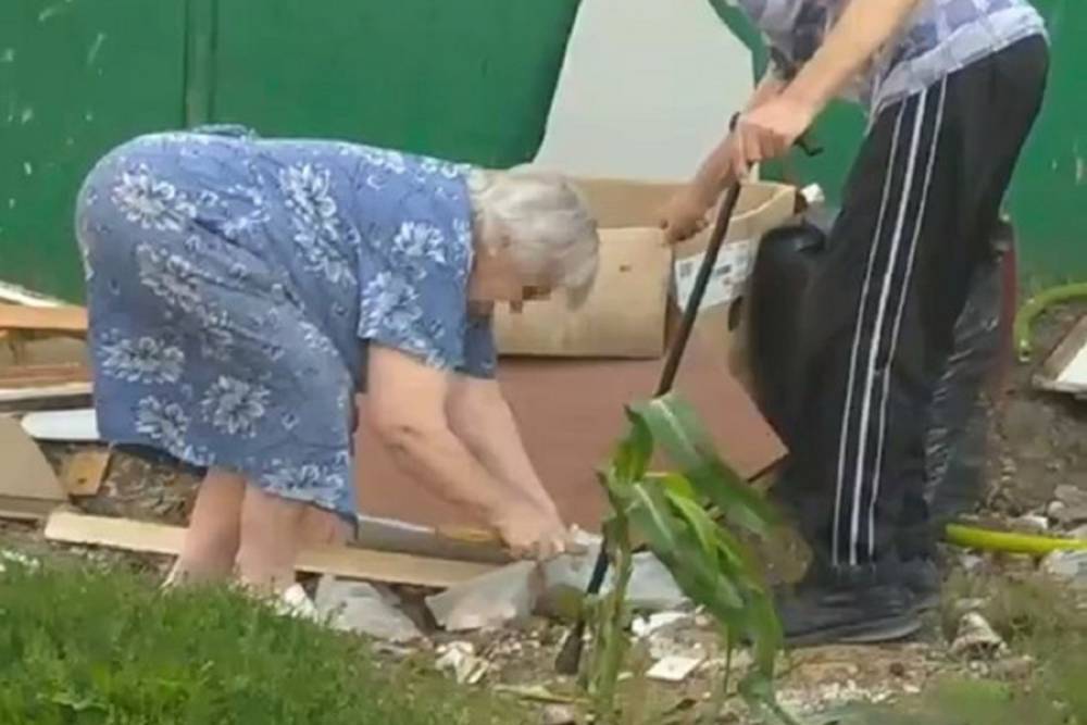 Прокуратура обратила внимание на ролик, на котором пожилая пара убивает котят в Тверской области