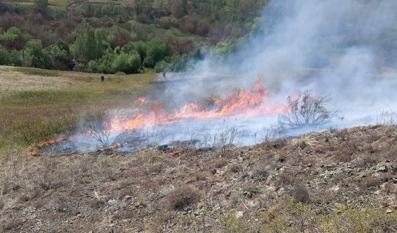 Два новых очага лесных пожаров обнаружили в Бурзянском районе Башкирии