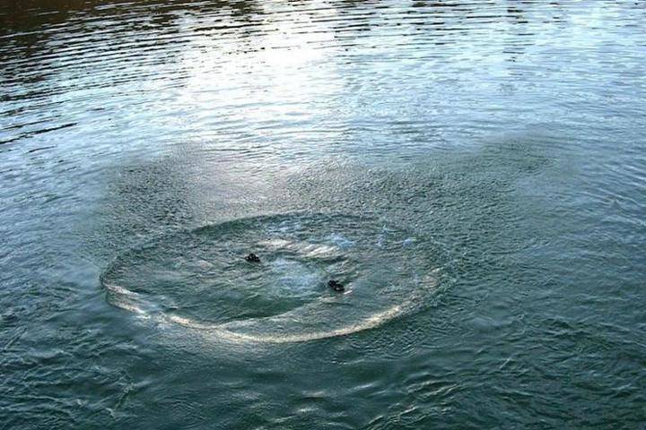 В реке Псекупс утонул семилетний ребёнок