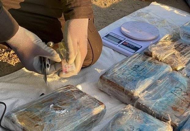 В порту Одессы обнаружили очередную партию кокаина на 10 млн долларов (видео)