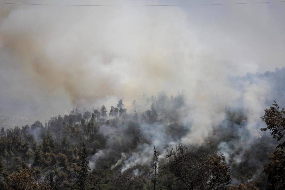 Пожар распространяется в сторону Адасса Эйн-Керем. Объявлена общая мобилизация пожарной службы