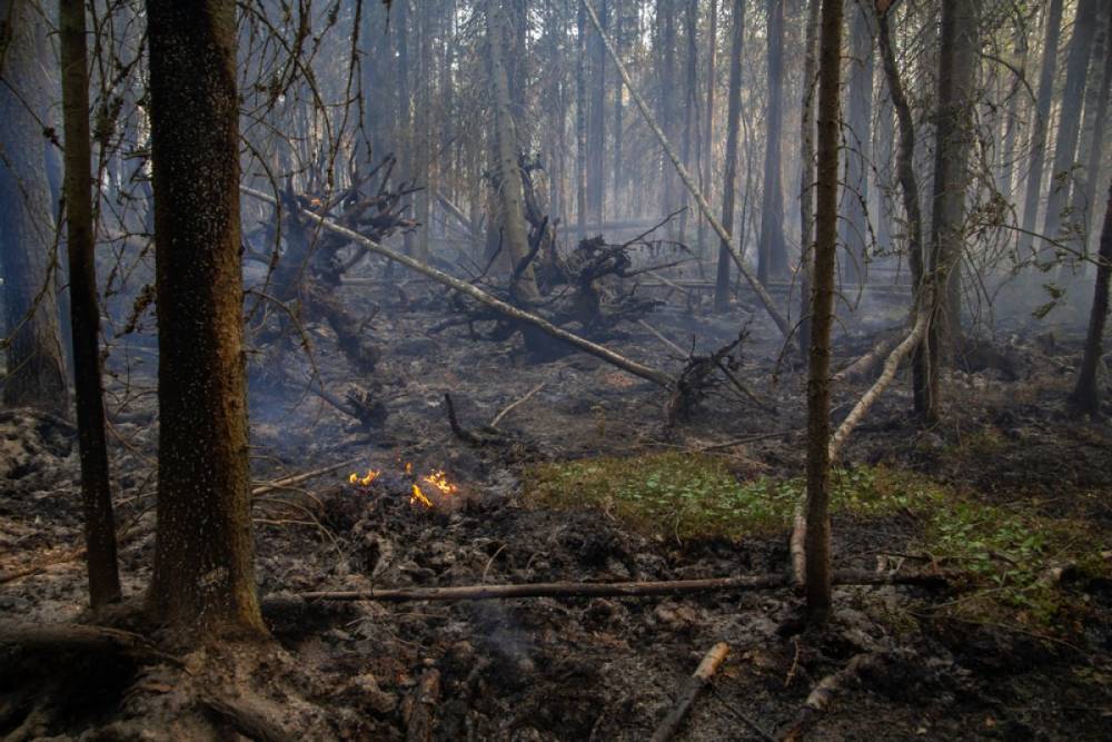 За сутки в Якутии потушили 14 лесных пожаров
