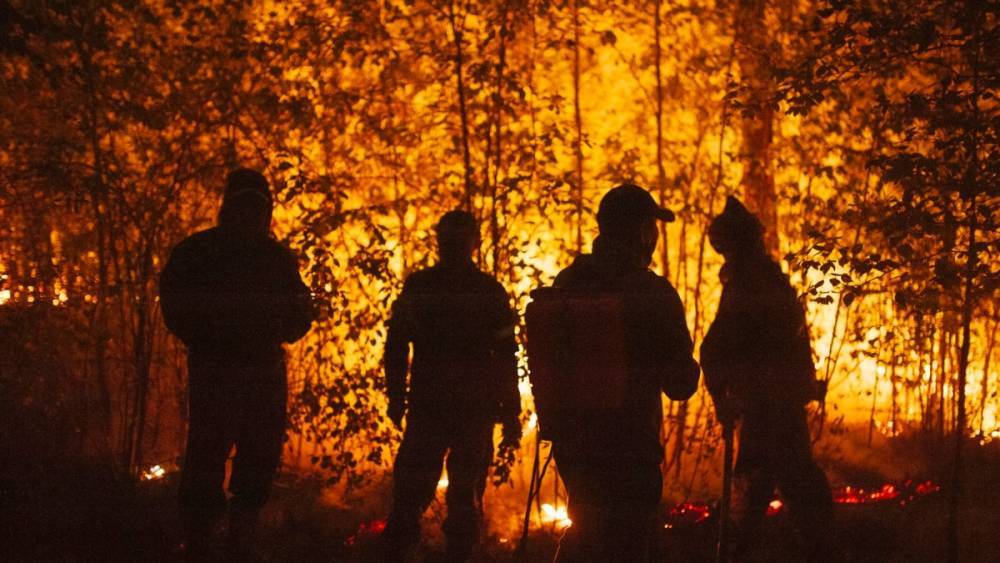 Полпред президента: масштабы пожаров в Якутии преувеличены