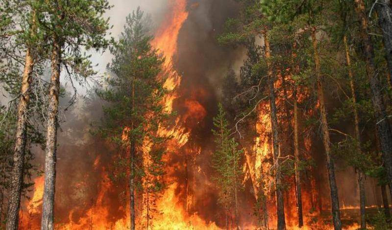 Тысячи людей эвакуируют из французского департамента Вар, где бушуют лесные пожары