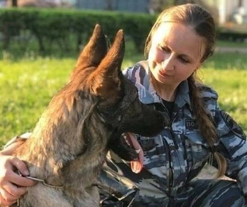 Впервые в истории российский пес, спасший девочку от насильника в Петербурге, получил итальянскую премию