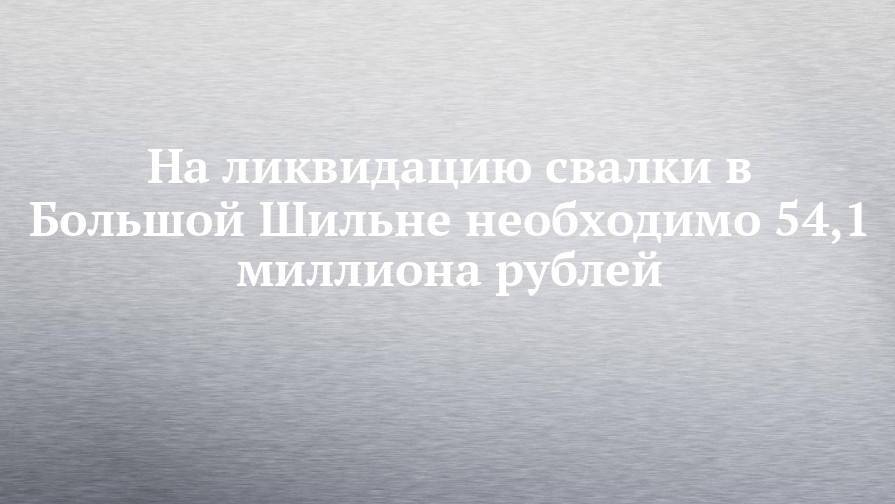 На ликвидацию свалки в Большой Шильне необходимо 54,1 миллиона рублей