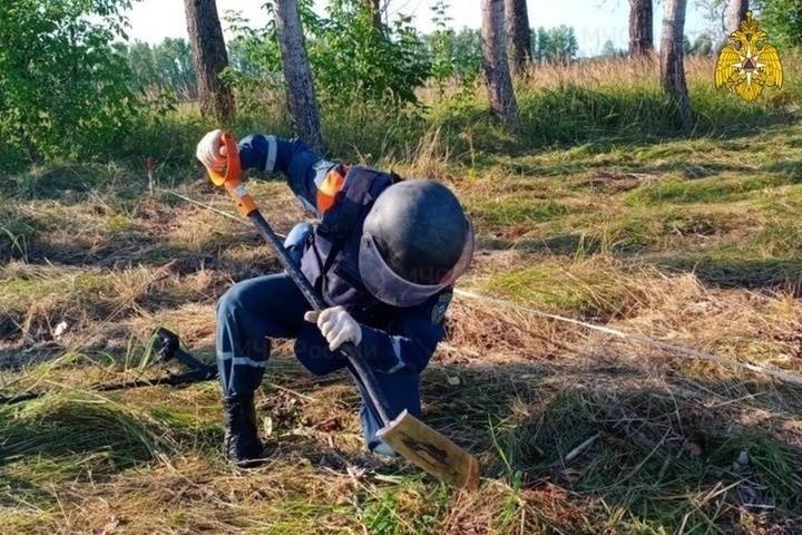 В Тверской области нашли несколько гранат, оставшихся в земле с войны