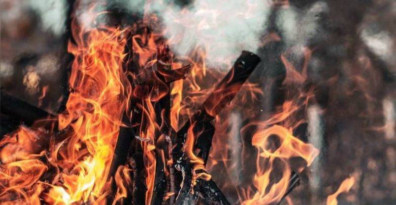Учёные выяснили, что дым от лесных пожаров повлиял на заболеваемость ковидом