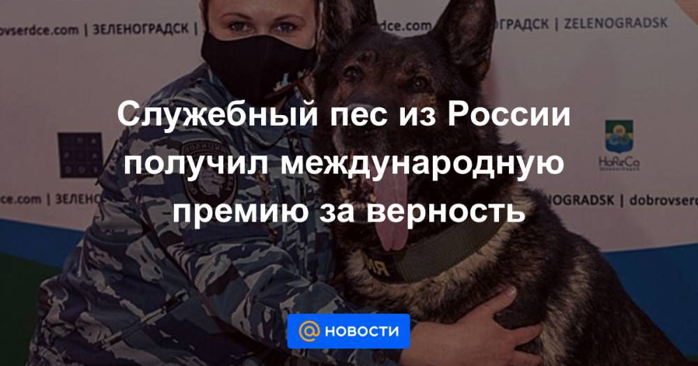 Служебный пес из России получил международную премию за верность