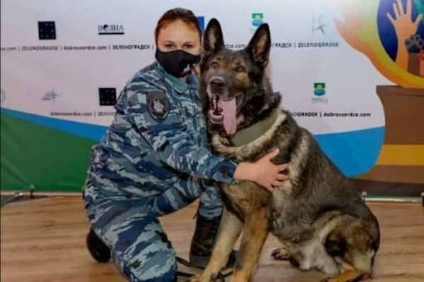 Пёс из России впервые в истории получил итальянскую премию за верность